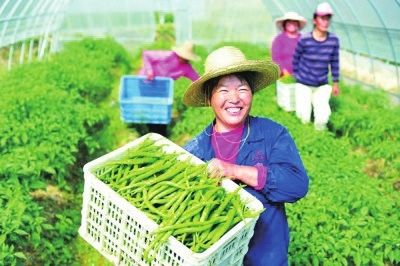 农业众筹